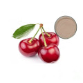 Hot Sale Anti-aging Function Acerola Cherry Extract Powder Vitamin C